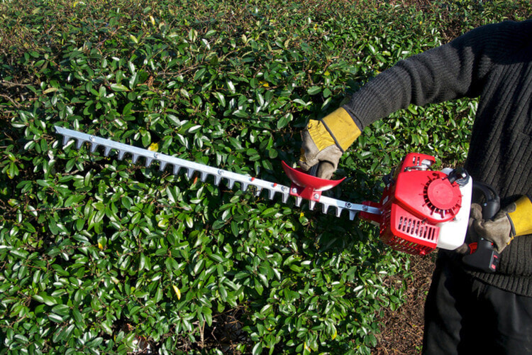 A close-up of a pair of hedge clippers being used to trim shrubs
